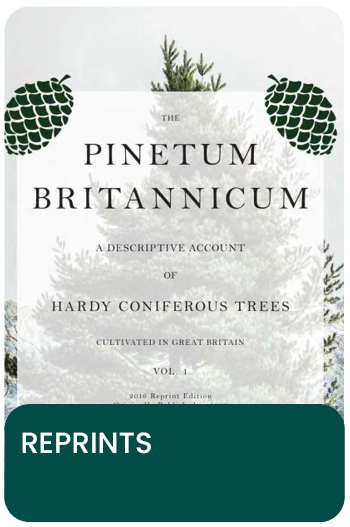 pinetum